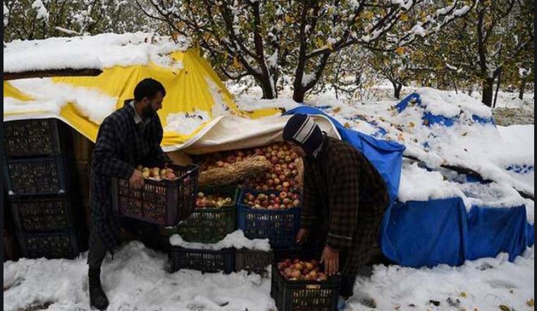 Jaish-e-Mohammad planning big terror attacks in Delhi, J&K; plot hatched in Bandipore apple orchard