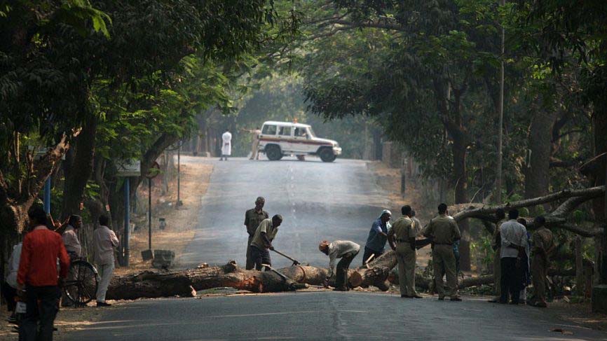 Several detained after 200 trees hacked in Mumbai's Aarey Colony, section 144 imposed