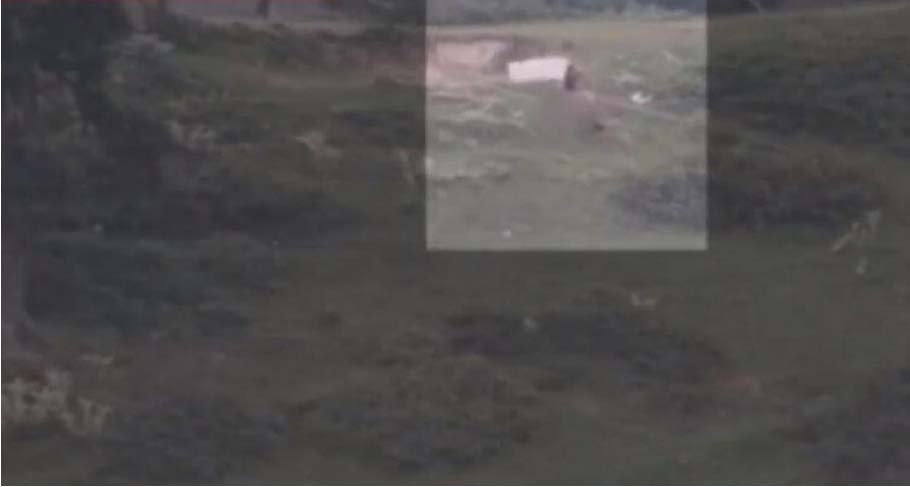 Two Pak soldiers killed in Indian Army's retaliatory fire, Pakistani soldier seen with white flag