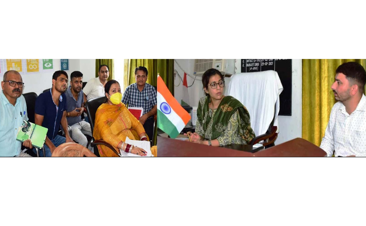 DC Jammu visits Pargwal; interacts with revenue staff
