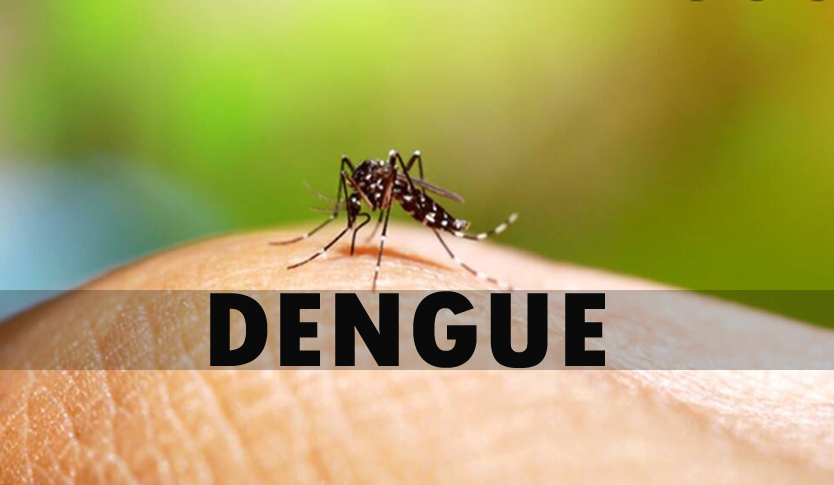 4649 dengue cases, 07 deaths reported in J&K this year so far: Official