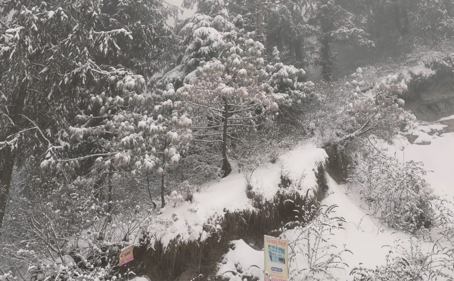 Fresh snowfall in J&K: Srinagar-Jammu national highway closed, flights affected
