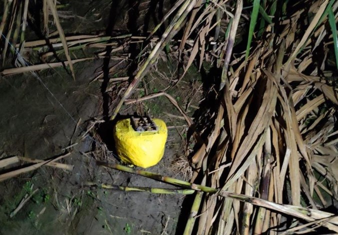 BSF troops fire at drone spotted near international border in Jammu