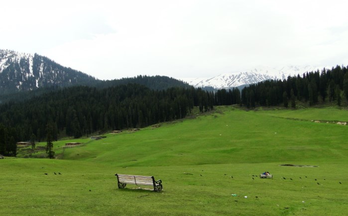Doodhpathri has unlimited potential, to be an season tourist destination: DC Budgam
