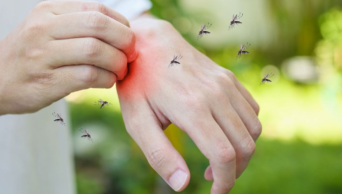 Around 900 fresh dengue cases reported in J&K in last one week, tally reaches to 5,908