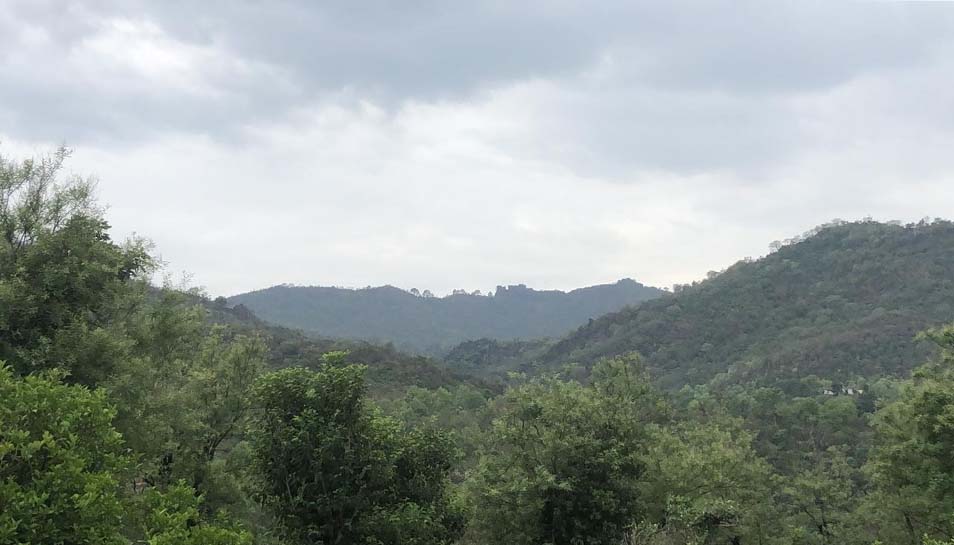 Rain in ‘spells’ likely to continue in J&K till June 22: MeT