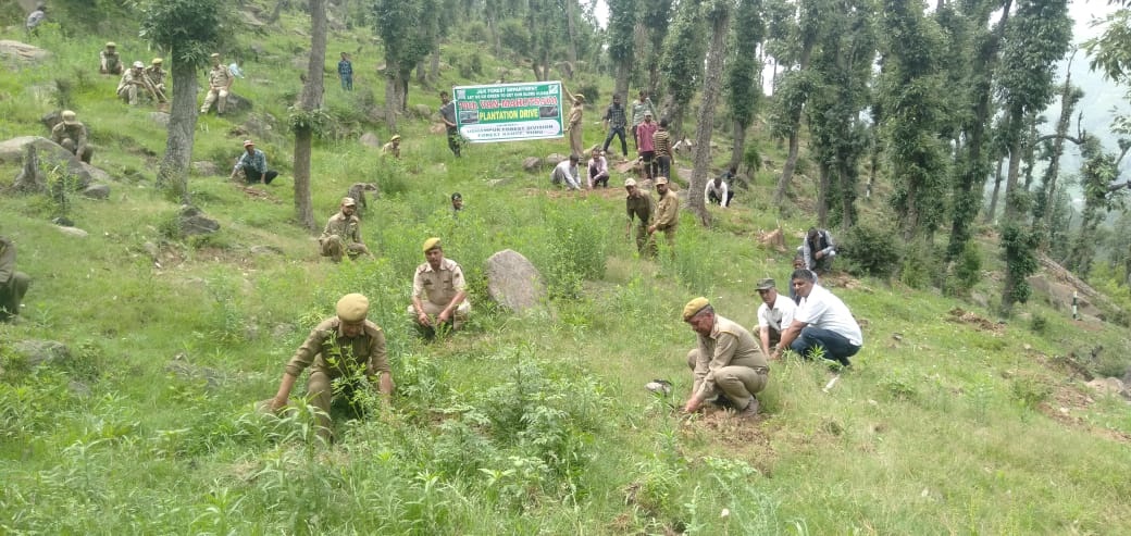 Forest Deptt continues plantation drive under 'Green J&K' initiative