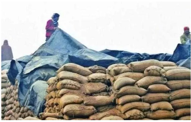 Distribution of food grains under PMGKAY-II started; Total 33.40 LMT food grains picked up by the States/UTs till now