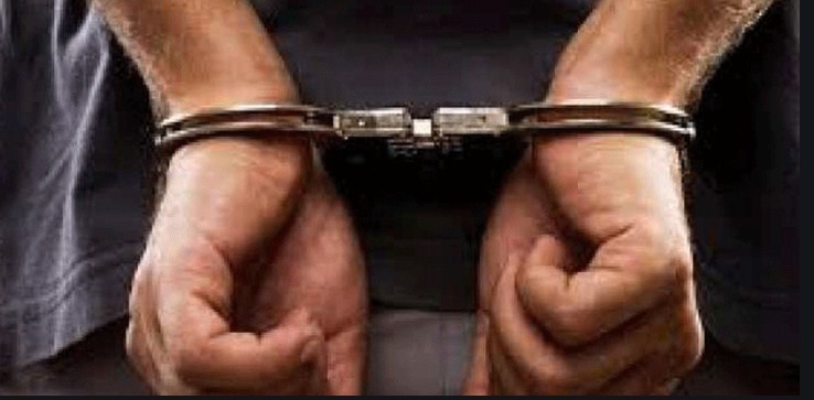 Narcotic Bid Foiled; Huge Quantity of Banned Intoxicant Drugs Recoverd
