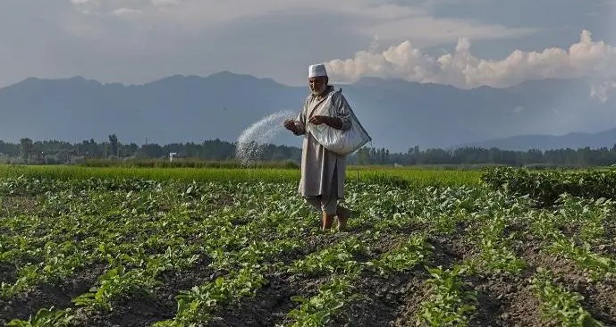 Parvaz scheme: A market linkage support to boost J&K farmers economic conditions