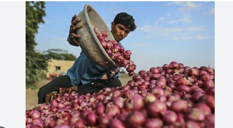 Pyaaz se thoda dikkat ho gaya hamare liye: Bangladesh PM Sheikh Hasina on India banning onion export