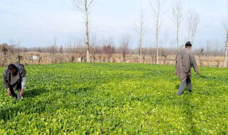 PM-KUSUM scheme will reduce production cost, increase income of J&K farmers