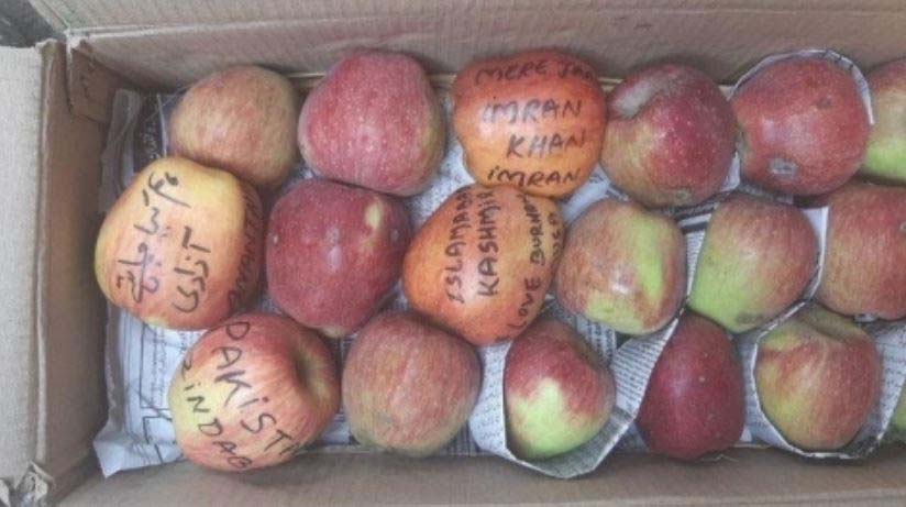 ‘Azadi’, ‘Burhan Wani’ written on apples from Kashmir; fruit sellers threaten boycott