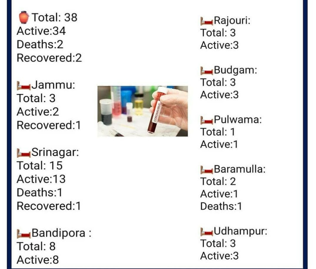 District wise detail of 38 Covid-19 positive cases in J&K
