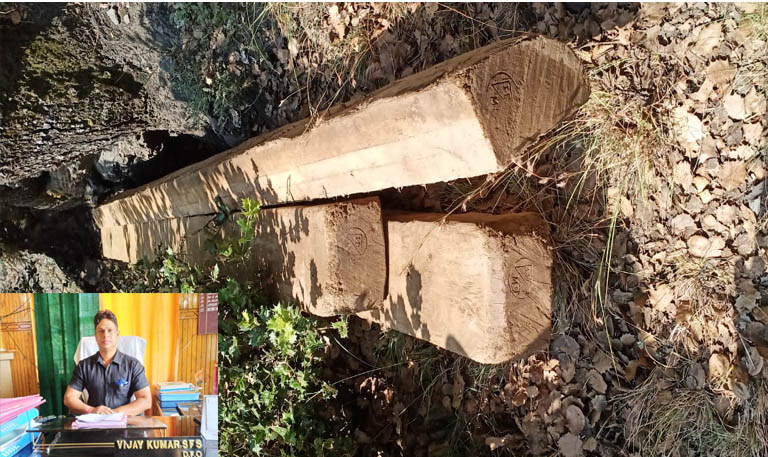 Divisional Forest Officer Marwah siezes 150 safety Timber