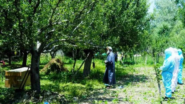 38-Year-Old Woman Among 8 More Die Due To Covid-19, J&K Toll 1399