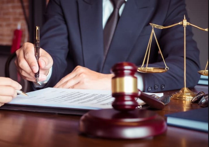 Advocate Mohsin Qadri, Monika Kohli appointed as AAG