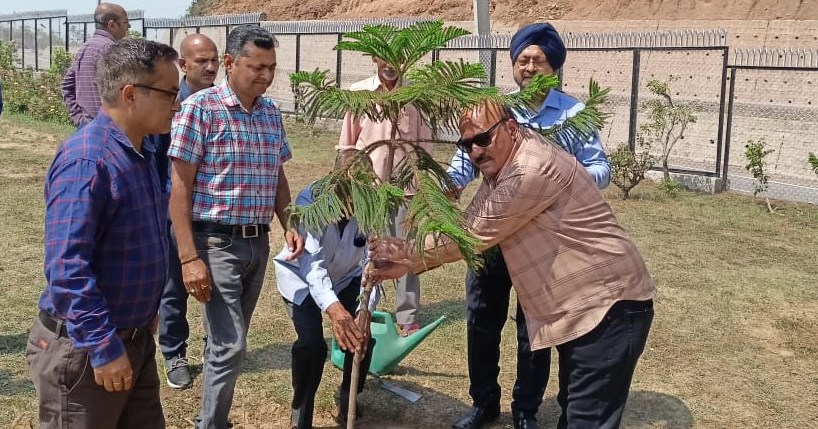 Plant more trees save future generations says Fayaz