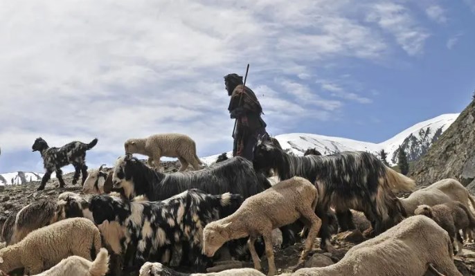 CS reviews transportation arrangements for migratory tribal families