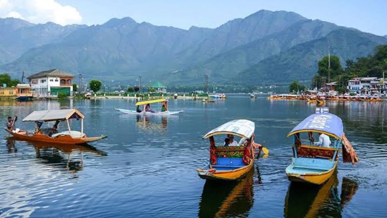 DM Jammu imposes ban on Bovine transportation