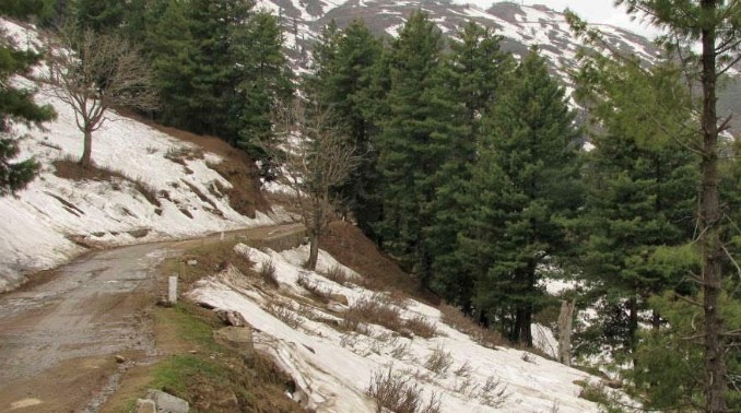 Ramban Police rescued stranded Tourists from NathaTop