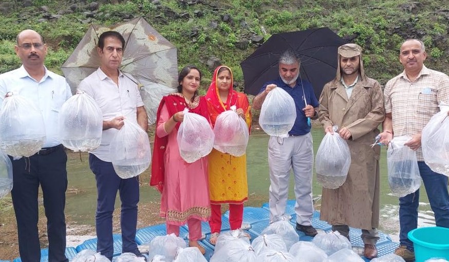 Fisheries Departments starts Fish Seed Stocking at Ranjit Sagar Reservoir