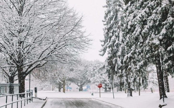 Fresh snowfall on cards as WD approach Kashmir on Jan Jan 24-25