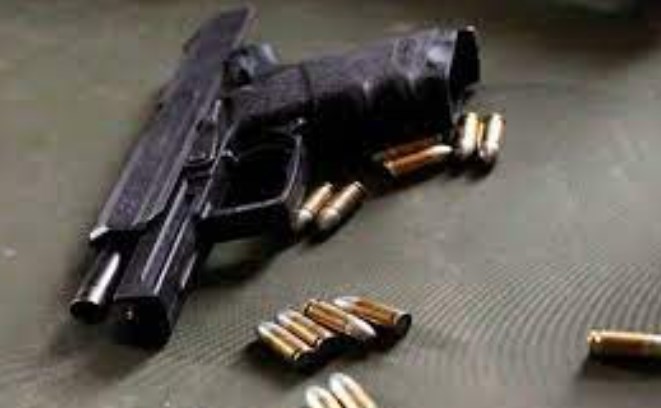 Government issues fresh instructions for issuance of Arms licenses; CID to verify antecedents