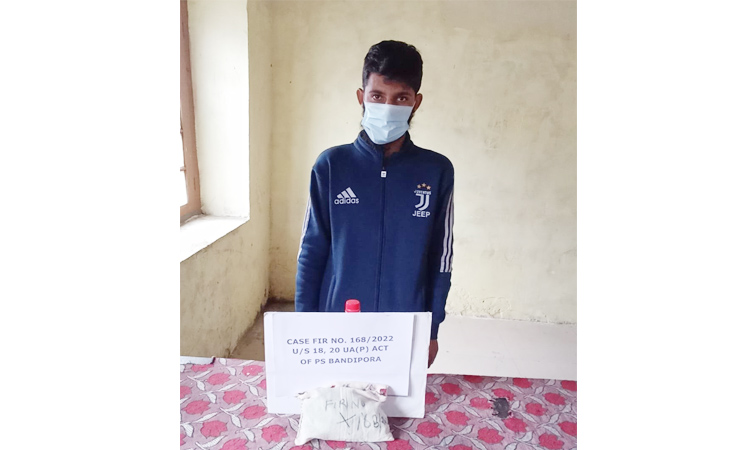 LeT terrorist held with two grenades in Bandipora