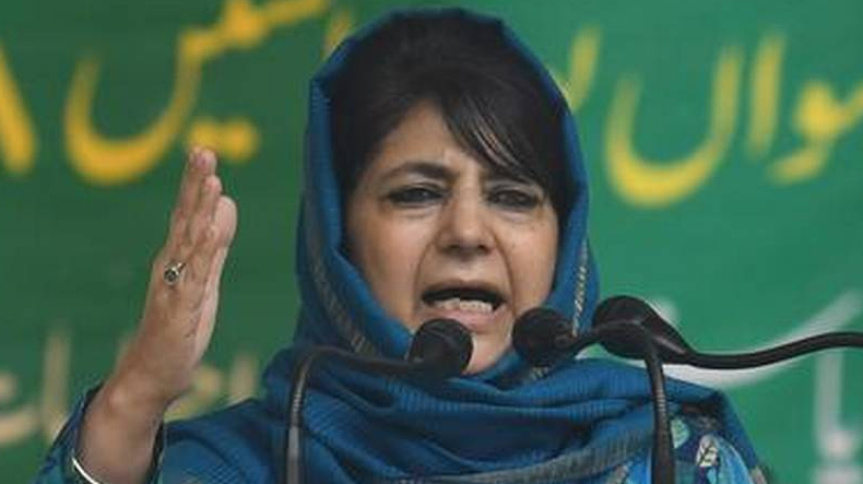 'Security Forces Not Allowing People to Vote': Mehbooba Alleges Rigging in J&K's DDC Elections
