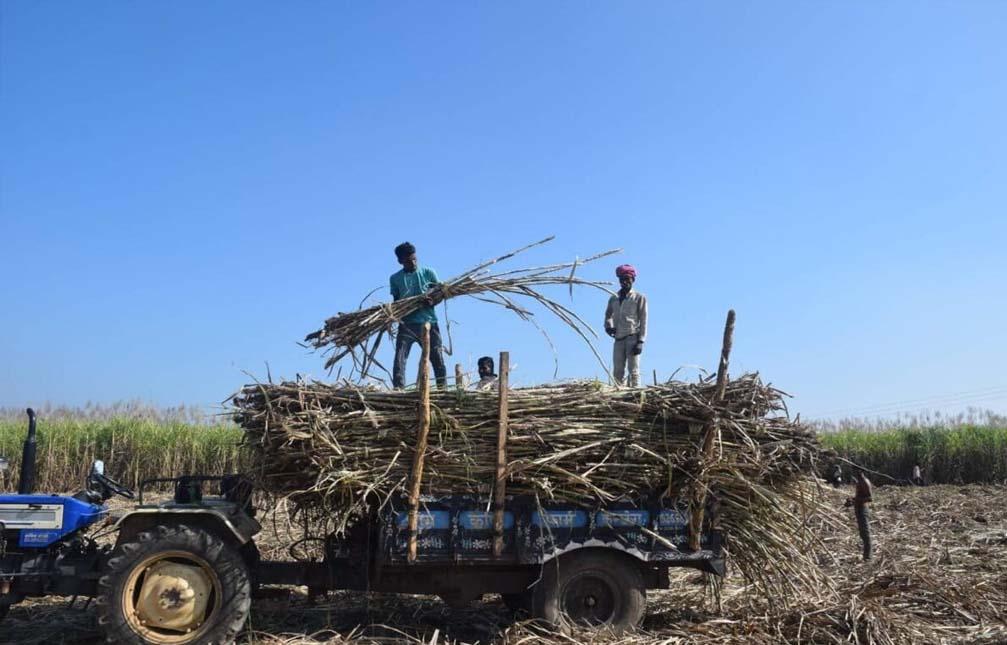 India bars sugar-based ethanol in 2026-27 tender, cuts maize incentive