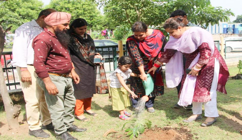 DIPR Jammu joins Green J&K Campaign
