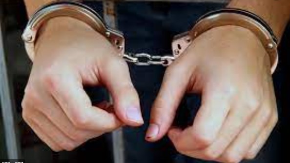 6 Bovine smuggling attempts foiled; 81 Bovines rescued by Udhampur Police