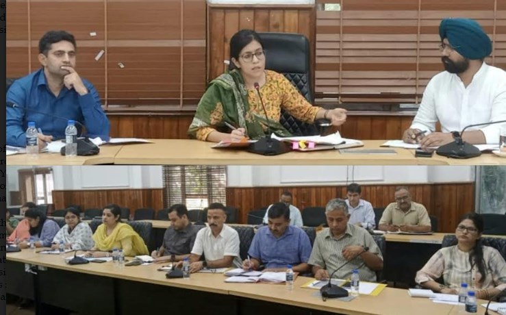 DC Jammu reviews implementation of revenue related services, schemes