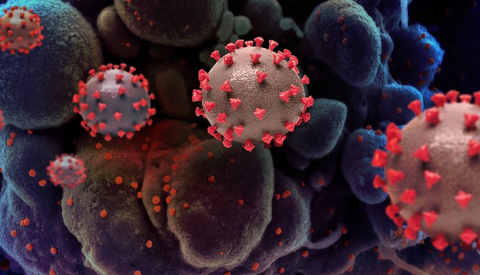 JK reports 697 fresh positive cases, 452676 recovered