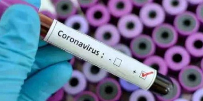 Covid 19: Migrant Colony Jagti Sealed After 13 Test Positive ; 3 More Doctors Test Positive
