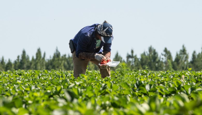 J&K Govt launches project to promote sustainable agriculture with focus on organic farming