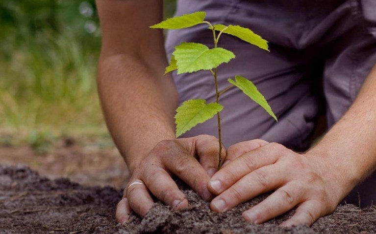 90 lakh saplings planted in J&K this year under 'Har Gaon Haryali'
