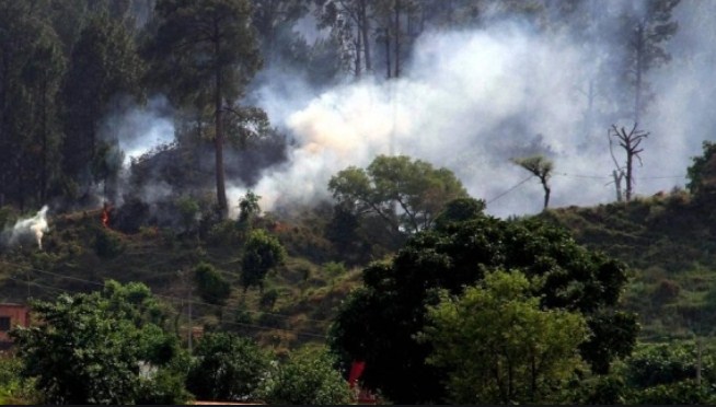 Pakistan violates ceasefire along LoC in Jammu and Kashmir's Nowshera