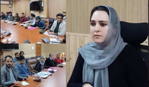 DDC B'la reviews progress under various Employment Generation schemes