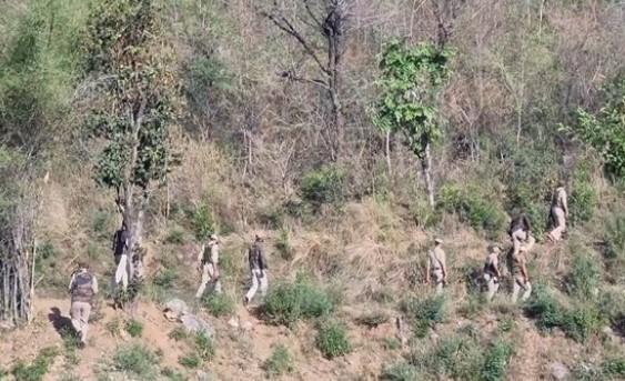 Search operation launched after suspicious movement in J&K’s Kathua
