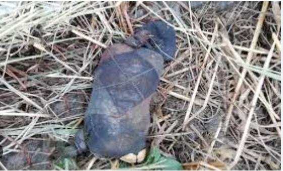 Baramulla Se 01 Kg Heroin Baramad.