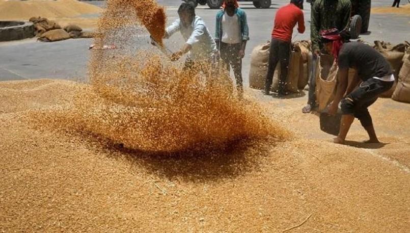 Cabinet hikes wheat MSP by ₹160 per quintal to ₹2,585