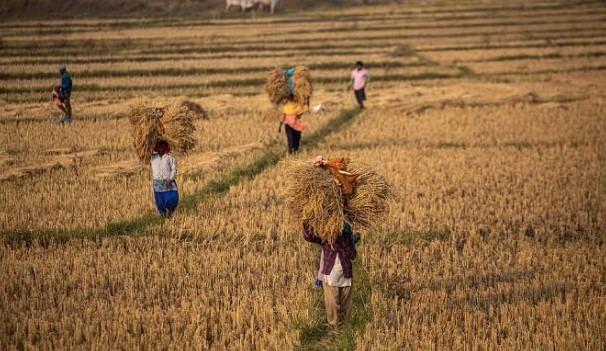 Land Records goes Digital, Farmer Services gets Smarter; J&K advances AgriStack frame work under DILRMP