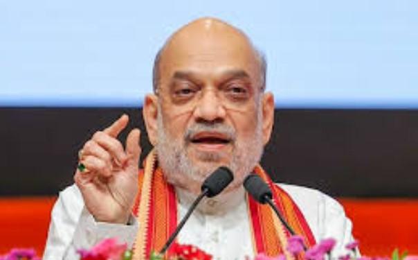 'Swadeshi' 'Swabhasha' should be encouraged: Amit Shah