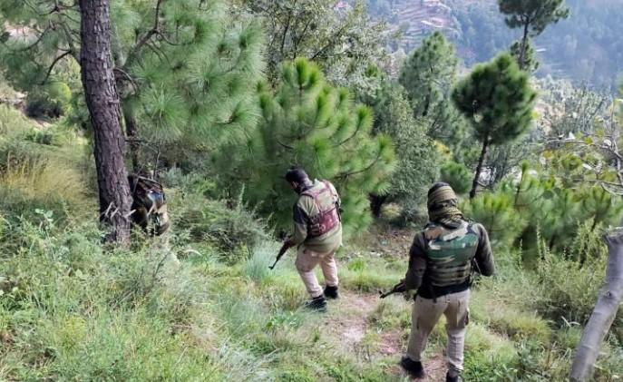 Search operation to track down terrorists resumes in J&K's Kishtwar