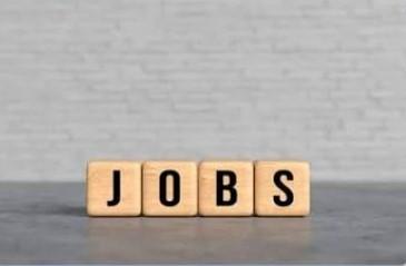 Over 3.20 Lakh Job Seekers Registered on Jammu Kashmir Employment Portal