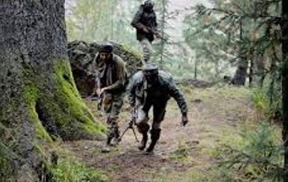 Terrorist killed in night-long encounter in J-K’s Ganderbal