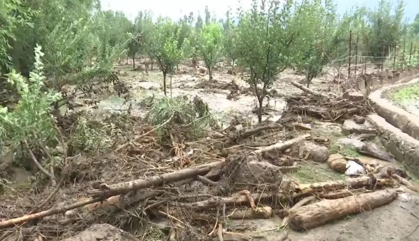 J-K: Cloudburst triggers flash flood in Anantnag's Chittergul; residents seek compensation for crop, orchard losses