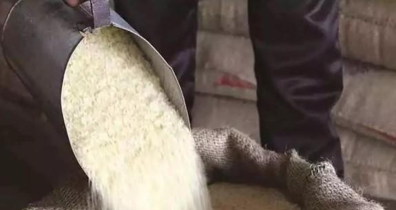 FCS&CA department to undertake advance lifting, distribution of foodgrains for August–October 2026